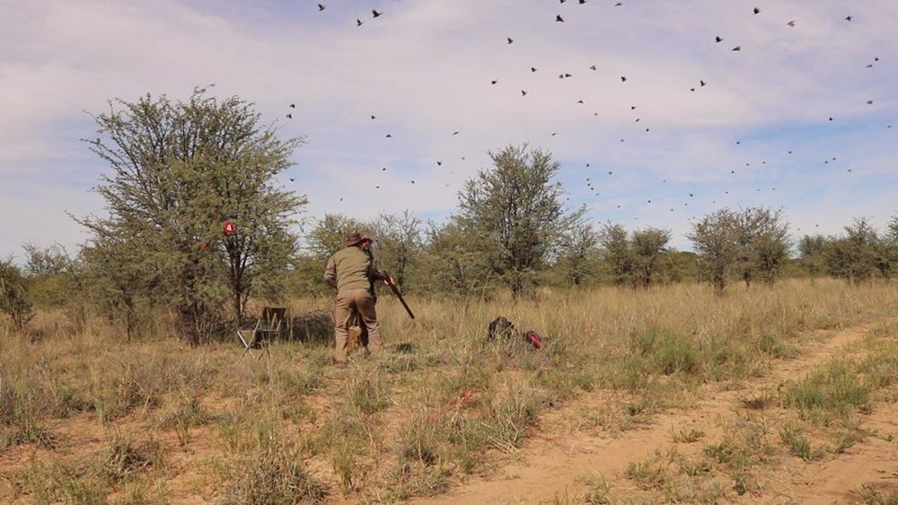 karoowingshooting_12.jpg