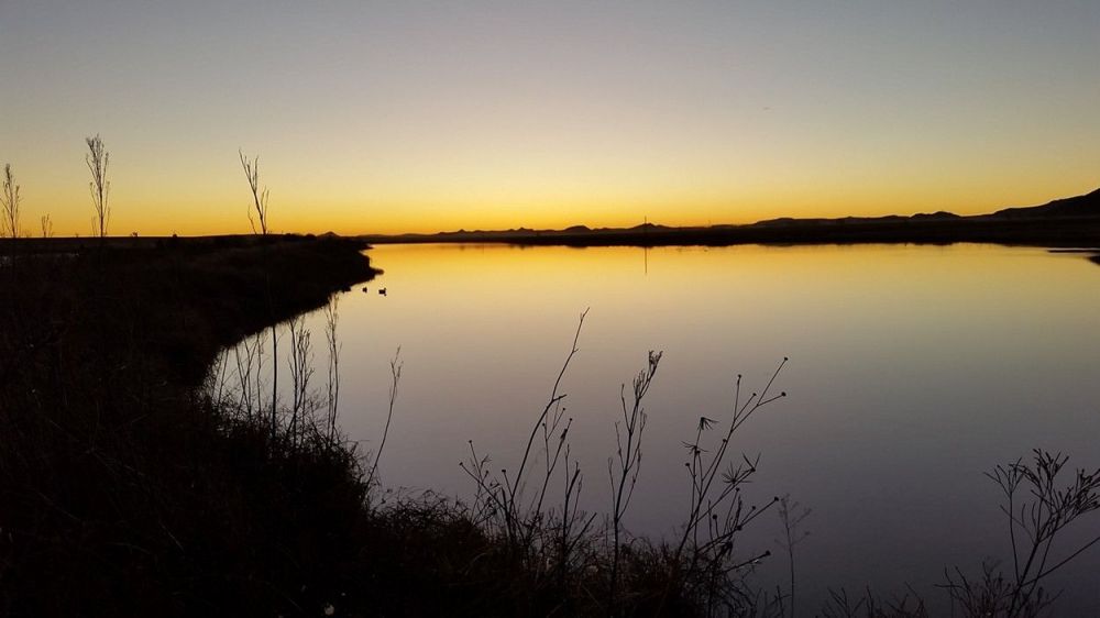 wing_shooting_area_south_africa.jpg
